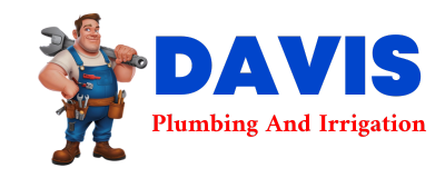 Trusted plumber in SAWYER